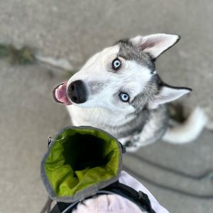 Meet your Posher, Amber